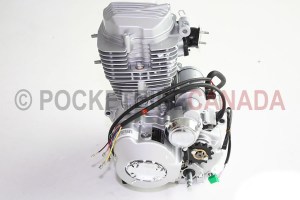 engine 813 250cc w. reverse1